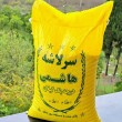 سرلاشه هاشمی گیلان