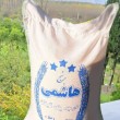هاشمی تک الک