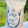 علی کاظمی گیلان